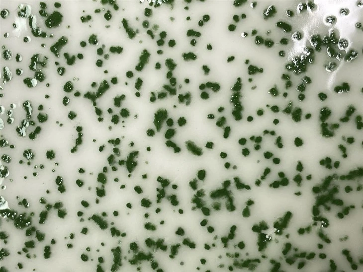 Green Speckle